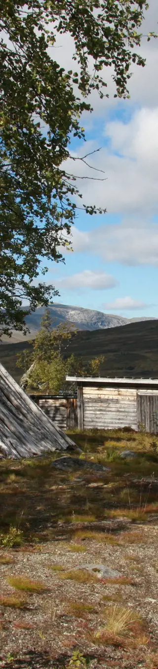 Erfahre Samische Kultur in Jokkmokk